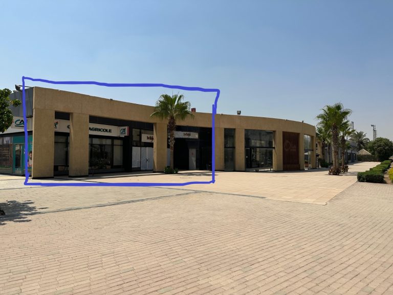 SODIC — West Town Hub — project image